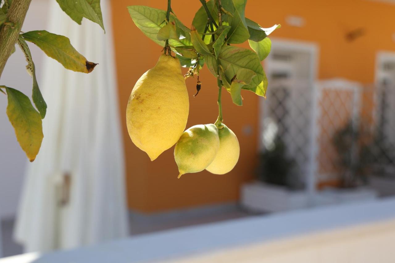 Casa Vacanze Il Gigante Comfort A Due Passi Dalla Valle Dei Templi Agrigento Buitenkant foto
